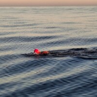 A swimmer wearing a pink swim cap is swimming alone in calm, open water under a clear sky, with gentle ripples on the surface and the horizon visible in the distance.